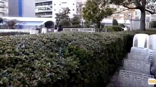 老司机扎金花被骗㊙️➕911av视频免费在线